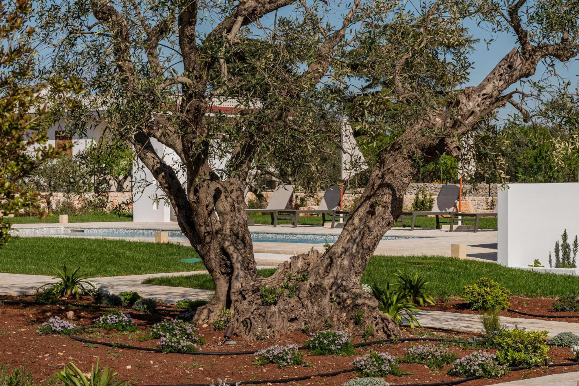 Trullo Jale - Boutique Apartments Ostuni Exterior photo